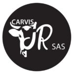 carvis.co